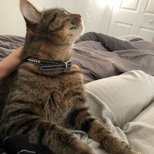 Meet your Posher, Alannah